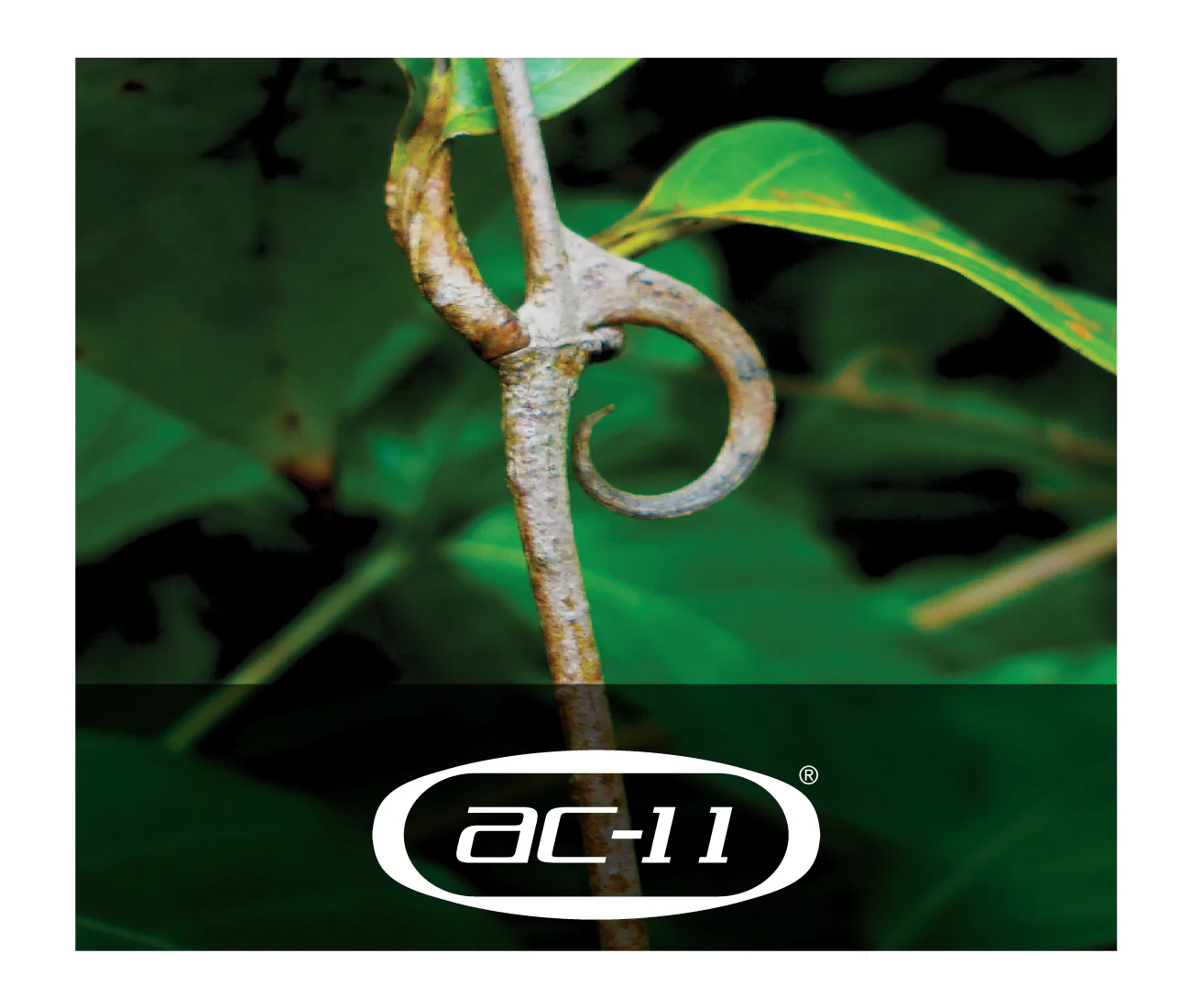 AC-11 Extract - Image 5