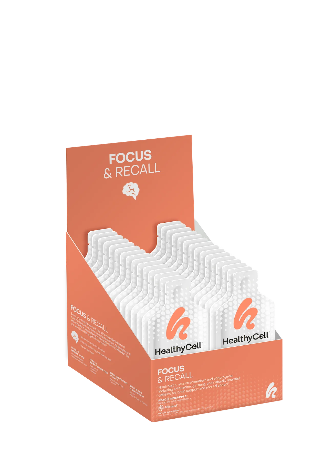 Focus & Recall - Image 5