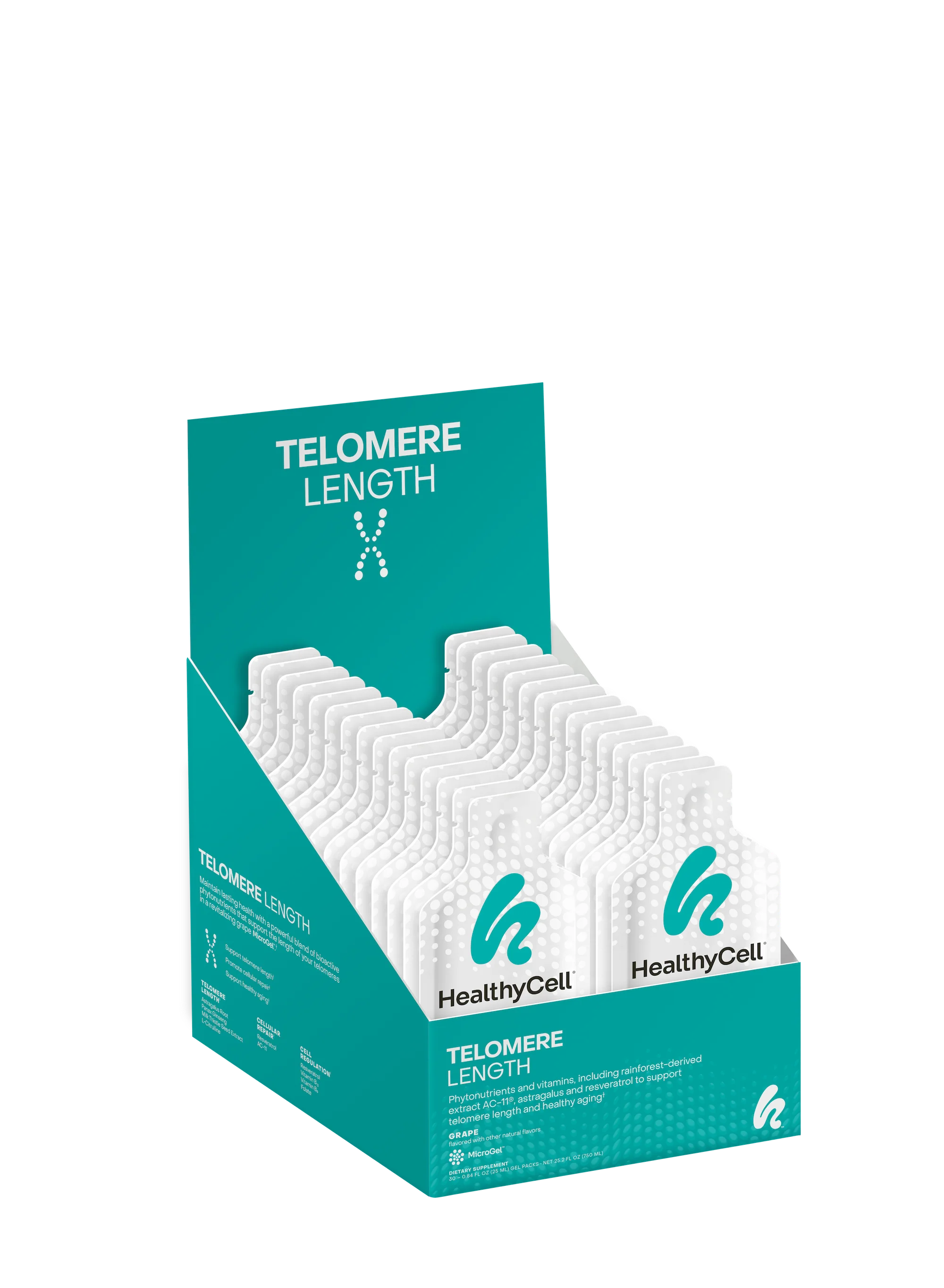 Telomere Length - Image 8