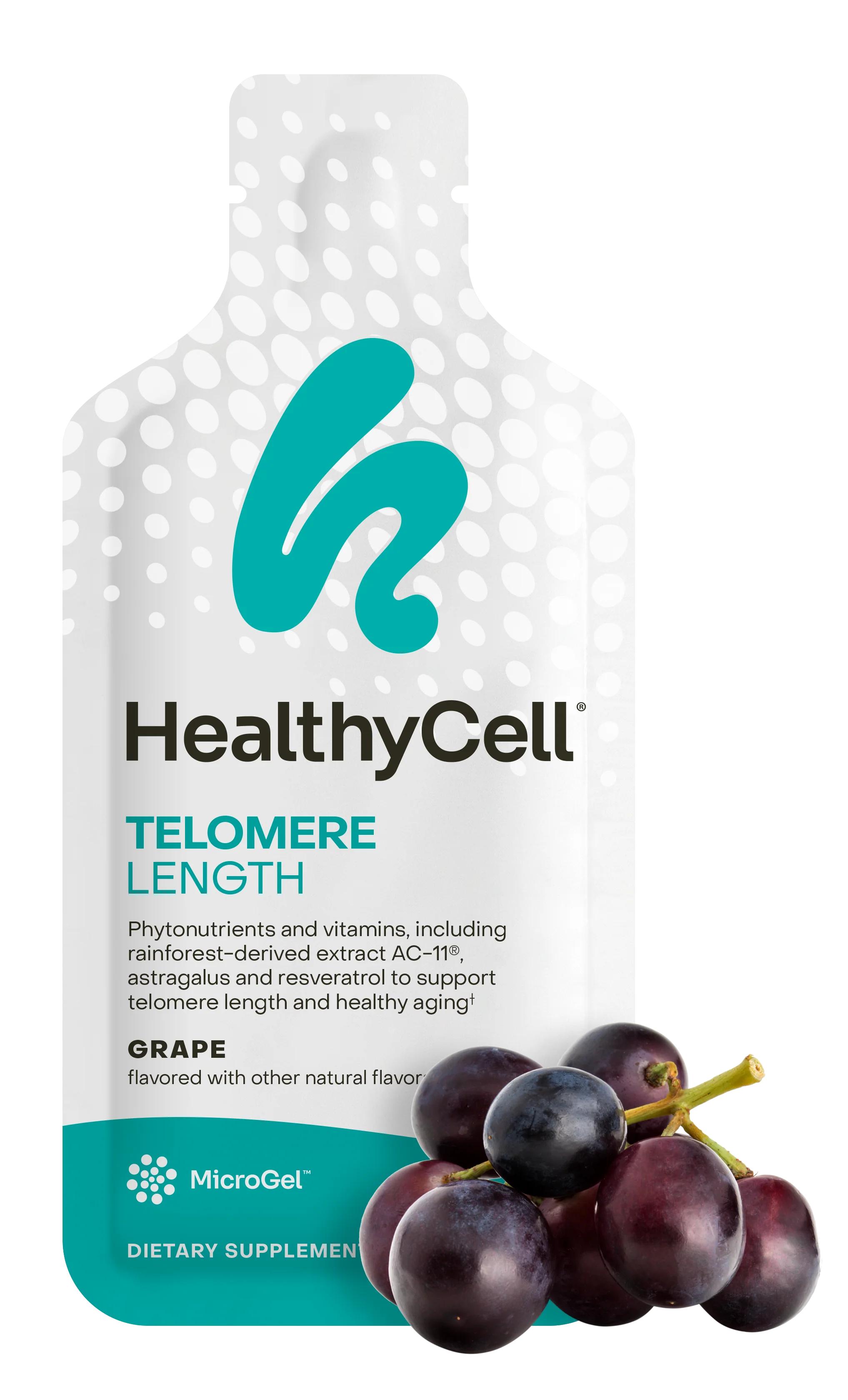 Telomere Length - Image 9